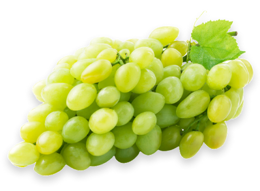 GREEN GRAPE SEEDLESS