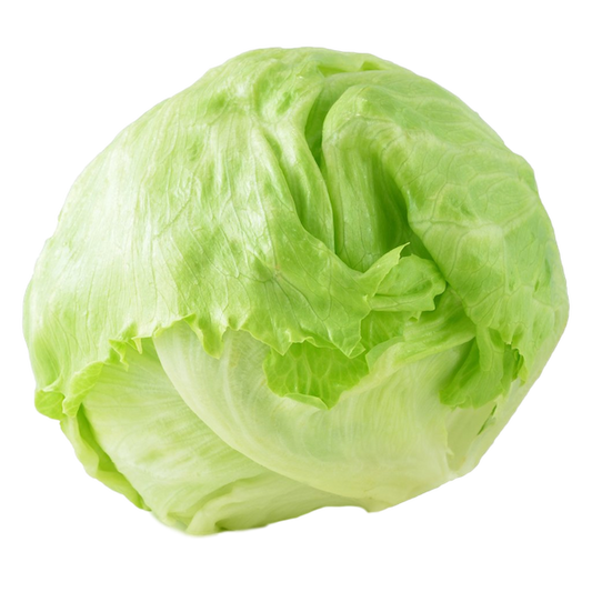 ICEBERG LETTUCE