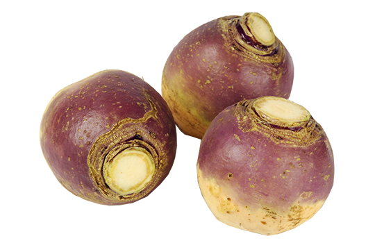 RUTABAGA