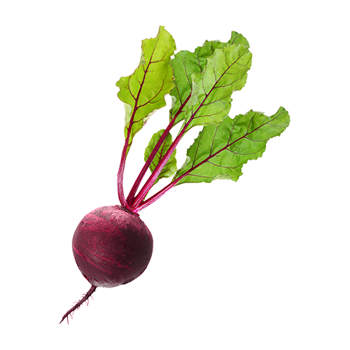 BEETS