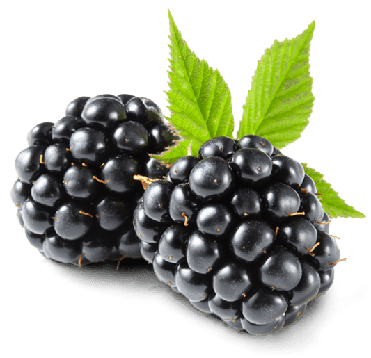 BLACKBERRIES