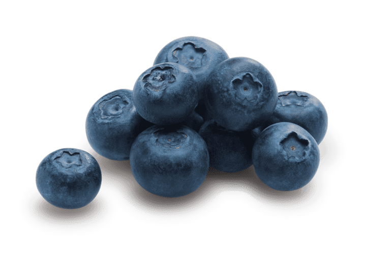 BLUEBERRIES