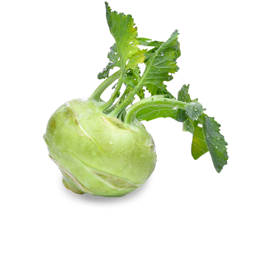 KOHLRABI 