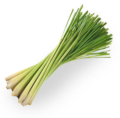 LEMONGRASS