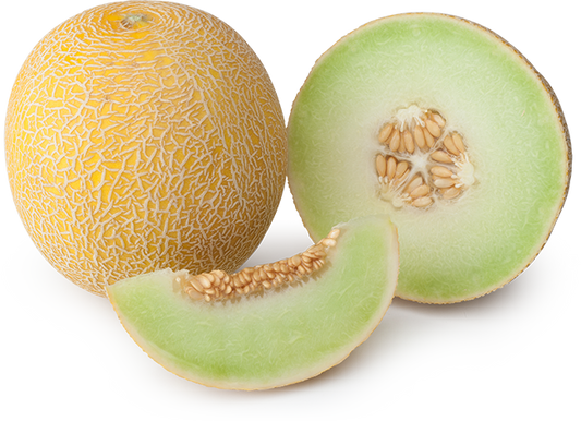 GALIA MELON